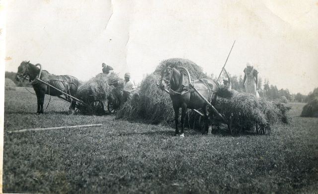 Siena kraušana vezumos no gubām (zārdiem) Mētrienā. 1930.gadu 2.puse Arvīda Gruduļa foto